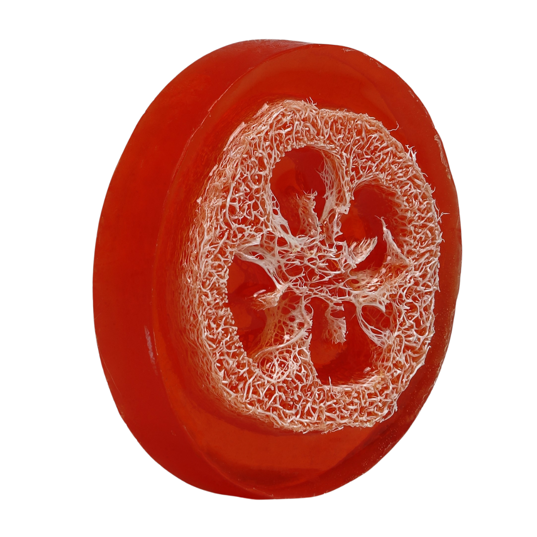 Red Apple Loofah Soap (Round)