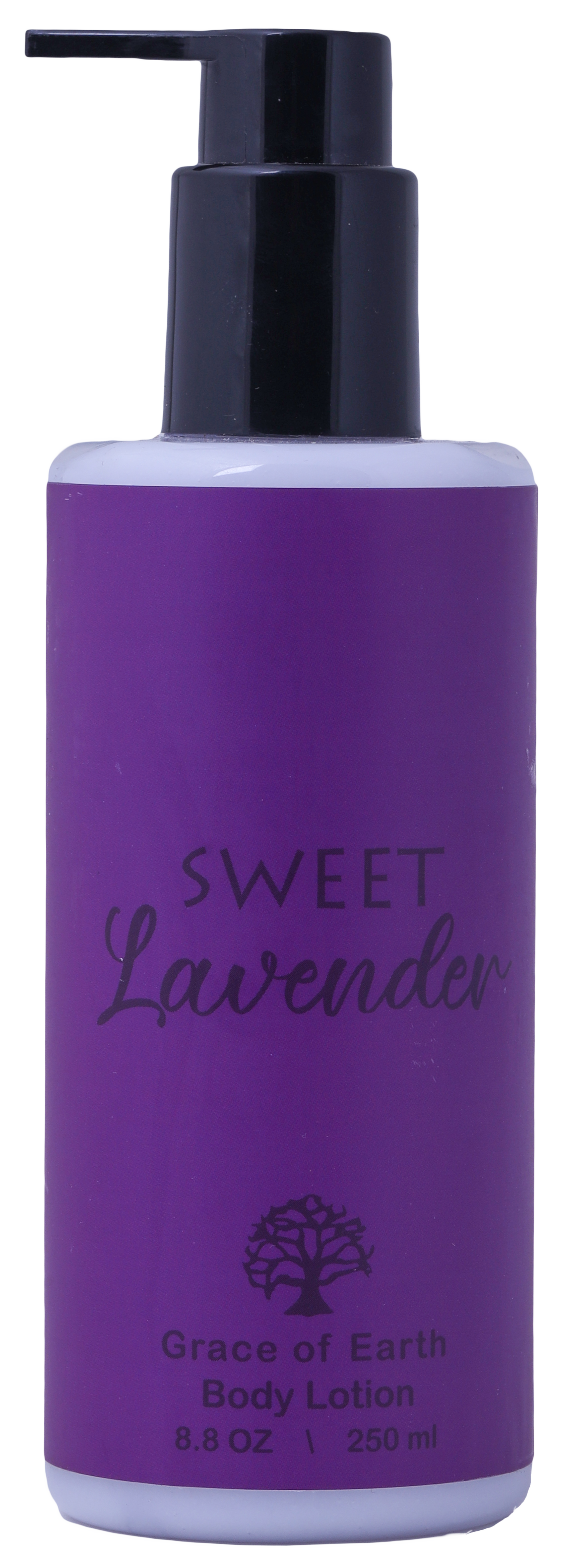 Sweet Lavender Body Lotion